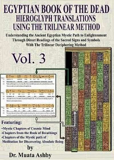 Egyptian Book of the Dead Hieroglyph Translations Using the Trilinear Method Volume 3: Understanding the Mystic Path to Enlightenment Through Direct R, Paperback/Muata Ashby