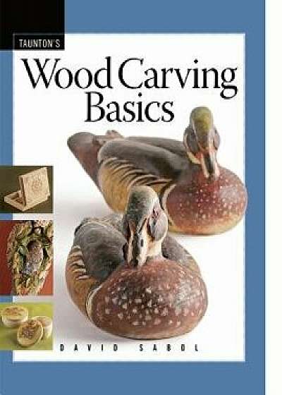 Wood Carving Basics, Paperback/David Sabol