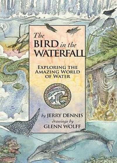 The Bird in the Waterfall: Exploring the Wonders of Water, Paperback/Jerry Dennis
