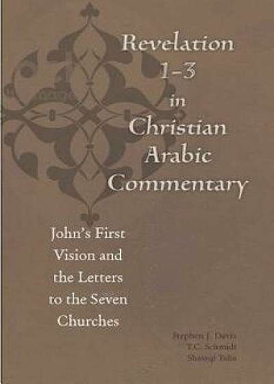 Revelation 1-3 in Christian Arabic Commentary: John's First Vision and the Letters to the Seven Churches, Paperback/Stephen J. Davis