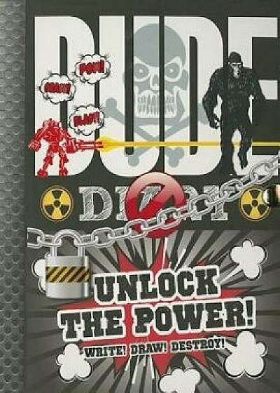 Dude Diary Unlock the Power, Paperback/Mickey Gill Mickey