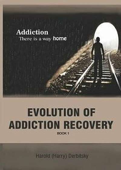 Evolution of Addiction Recovery, Paperback/Harold (Harry) Derbitsky