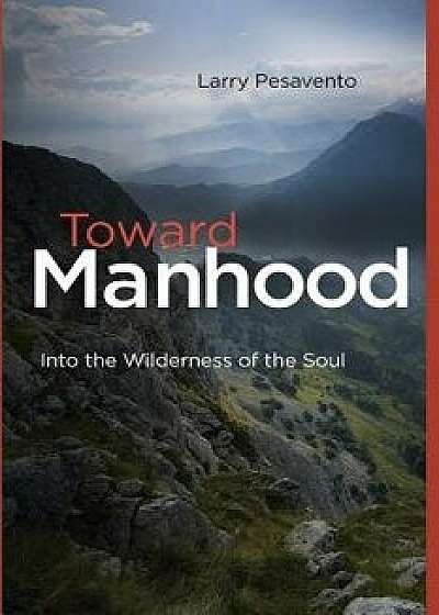 Toward Manhood: Into the Wilderness of the Soul, Paperback/MR Larry Pesavento M. Ed