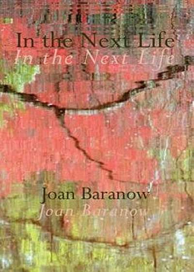 In the Next Life, Paperback/Joan Baranow