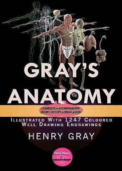 Gray's Anatomy: Complete & Illustrated with 1247 Original Coloured Drawings, Paperback/Henry Gray