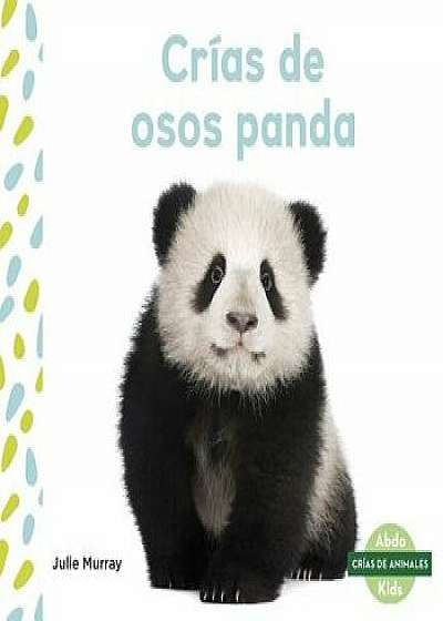 Crías de Osos Panda (Panda Cubs), Paperback/Julie Murray