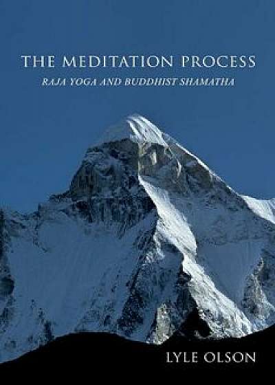 The Meditation Process: Raja Yoga and Buddhist Shamatha, Paperback/Lyle Olson