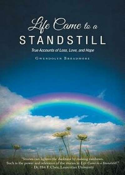 Life Came to a Standstill: True Accounts of Loss, Love, and Hope, Paperback/Gwendolyn Broadmore