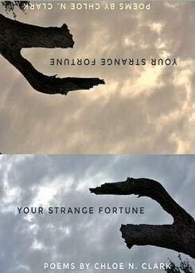 Your Strange Fortune, Paperback/Chloe N. Clark