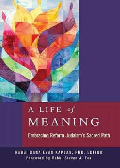 A Life of Meaning: Embracing Reform Judaism's Sacred Path, Paperback/Dana Evan Kaplan