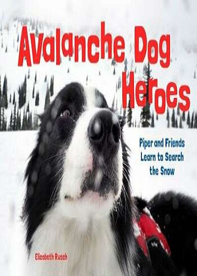 Avalanche Dog Heroes: Piper and Friends Learn to Search the Snow, Hardcover/Elizabeth Rusch