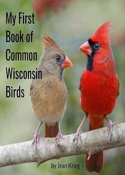 My First Book of Common Wisconsin Birds, Paperback/Jean Krieg
