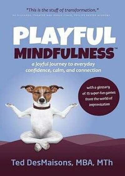 Playful Mindfulness: a joyful journey to everyday confidence, calm, and connection, Paperback/Ted Desmaisons