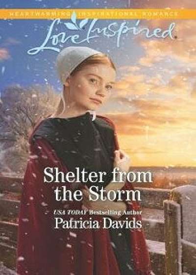 Shelter from the Storm/Patricia Davids