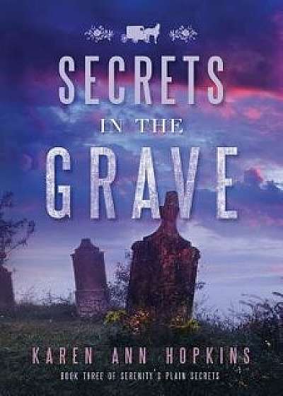 Secrets in the Grave, Paperback/Karen Ann Hopkins