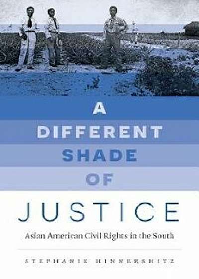 A Different Shade of Justice: Asian American Civil Rights in the South/Stephanie Hinnershitz