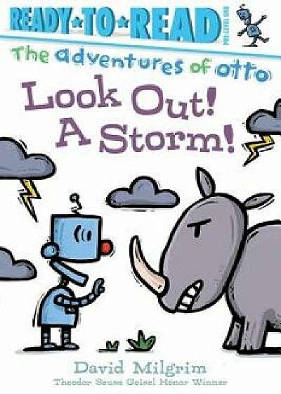 Look Out! a Storm!, Hardcover/David Milgrim