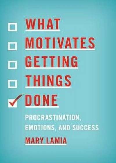 What Motivates Getting Things Done: Procrastination, Emotions, and Success, Paperback/Mary Lamia