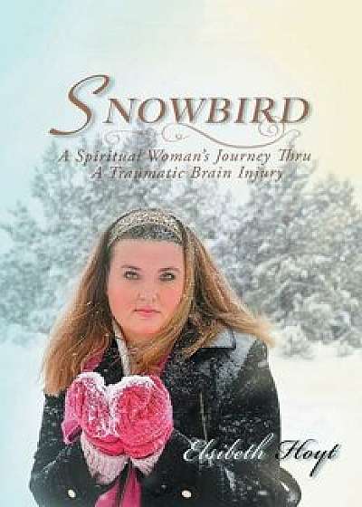 Snowbird: A Spiritual Woman's Journey Thru a Traumatic Brain Injury, Paperback/Elsibeth Hoyt