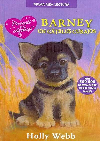 Barney, un cațeluș curajos PB
