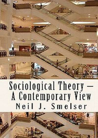 Sociological Theory - A Contemporary View: How to Read, Criticize and Do Theory, Paperback/Neil J. Smelser