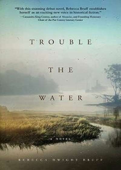 Trouble the Water, Paperback/Rebecca Dwight Bruff