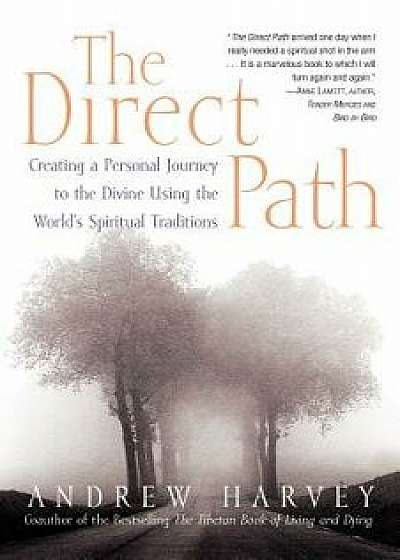 The Direct Path: Creating a Personal Journey to the Divine Using the World's Spirtual Traditions, Paperback/Andrew Harvey