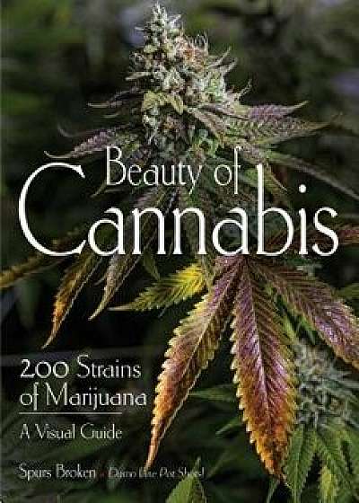 Beauty of Cannabis: 200 Strains of Marijuana, a Visual Guide, Paperback/Spurs Broken