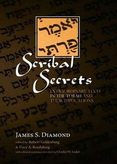 Scribal Secrets: Extraordinary Texts in the Torah and Their Implications, Paperback/James S. Diamond