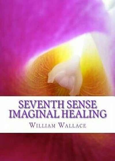Seventh Sense Imaginal Healing: An Homage to Dr. Richard Bartlett, Benjamin Bibb, Barbara Ann Brennan, Donna Eden, Dr. Meg Blackburn Losey, Dr. Gerald, Paperback/William Wallace