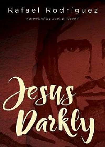 Jesus Darkly: Remembering Jesus with the New Testament, Paperback/Rafael Rodriguez