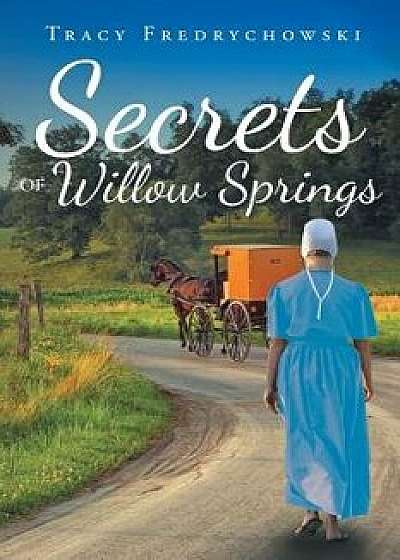 Secrets of Willow Springs: Book 1, Paperback/Tracy Fredrychowski