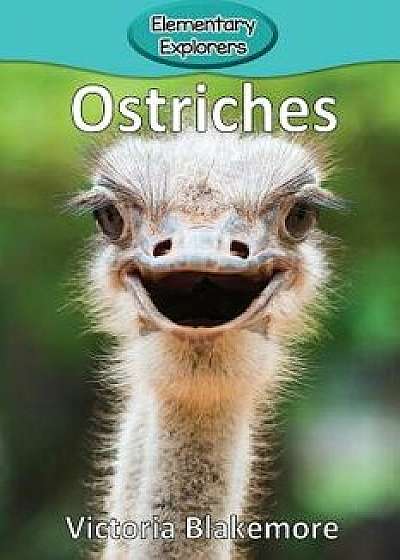 Ostriches, Paperback/Victoria Blakemore