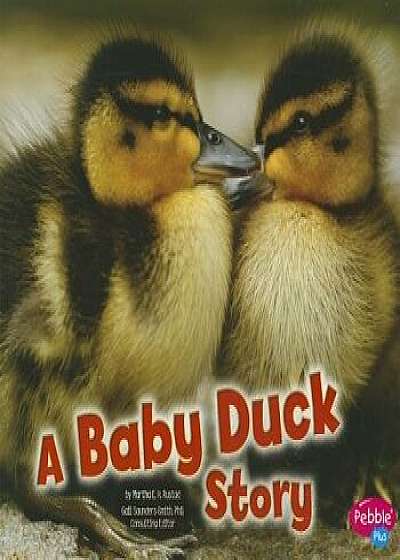 A Baby Duck Story, Paperback/Martha Elizabeth Hillman Rustad