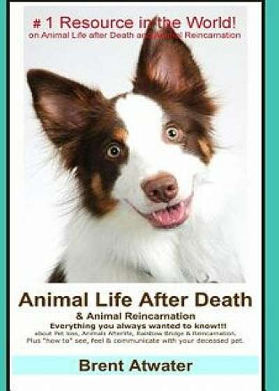 Animal Life After Death & Animal Reincarnation: Pet Loss Answers for All Your Heart's Questions!, Paperback/Brent Atwater