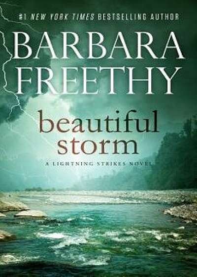 Beautiful Storm, Paperback/Barbara Freethy