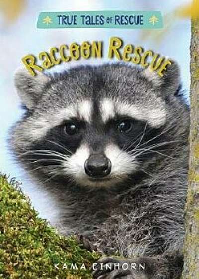 Raccoon Rescue, Hardcover/Kama Einhorn
