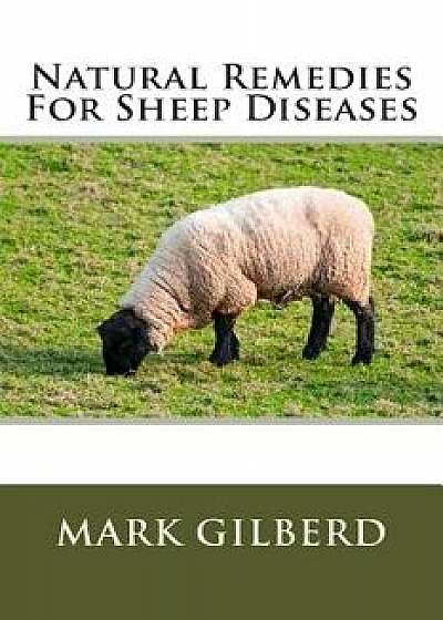 Natural Remedies for Sheep Diseases, Paperback/Mark Gilberd
