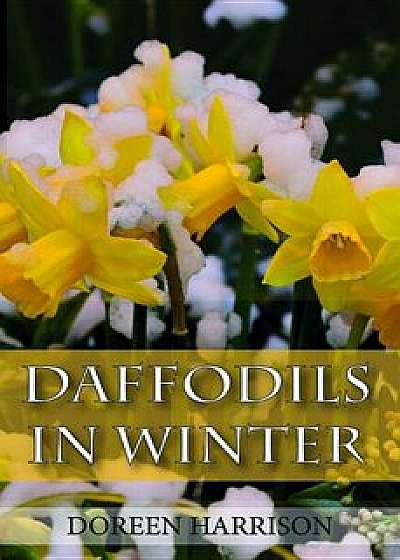 Daffodils in Winter, Paperback/Doreen Harrison