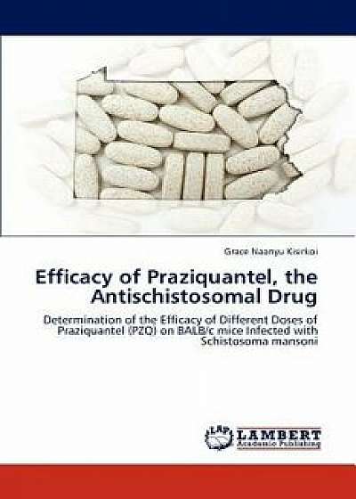 Efficacy of Praziquantel, the Antischistosomal Drug, Paperback/Grace Naanyu Kisirkoi