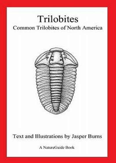Trilobites: Common Trilobites of North America (a Natureguide Book), Paperback/Jasper Burns