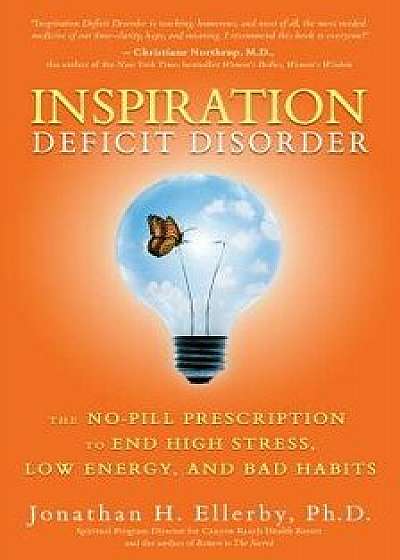 Inspiration Deficit Disorder, Paperback/Jonathan H. Ellerby