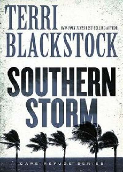 Southern Storm, Paperback/Terri Blackstock