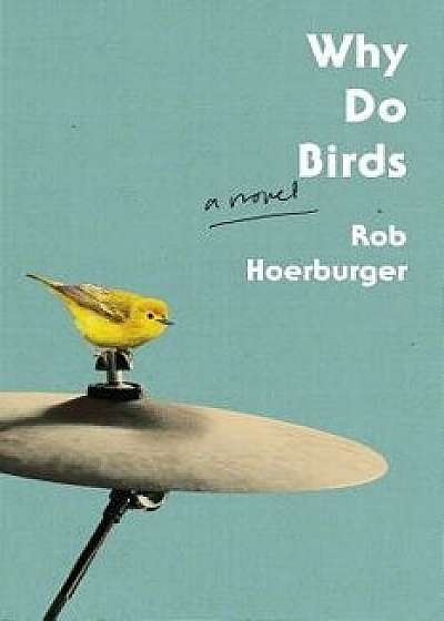 Why Do Birds, Paperback/Rob Hoerburger
