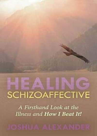 Healing Schizoaffective: A Firsthand Look at the Illness and How I Beat It!, Paperback/Joshua Alexander