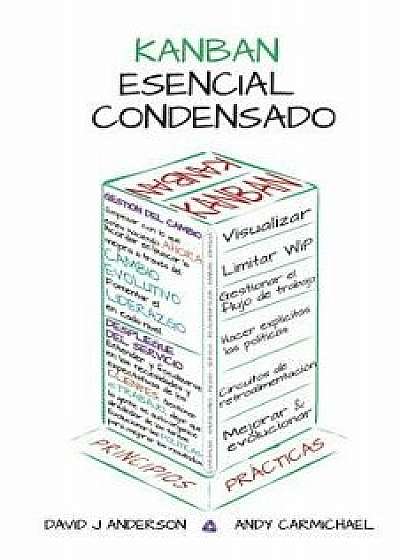 Kanban Esencial Condensado, Paperback/David J. Anderson