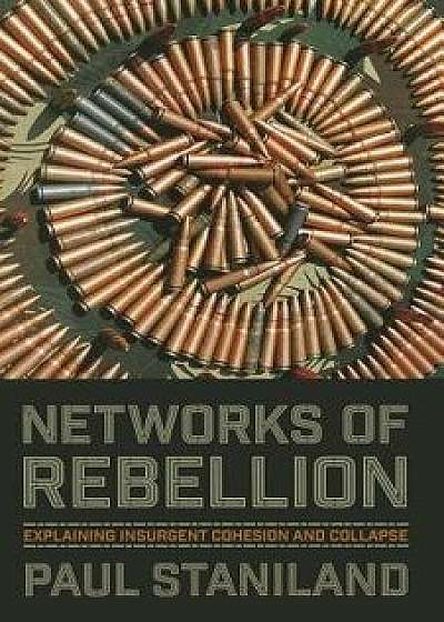 Networks of Rebellion/Paul Staniland
