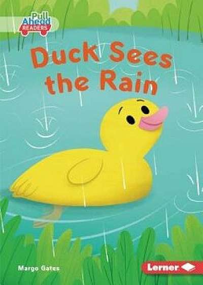 Duck Sees the Rain, Paperback/Margo Gates