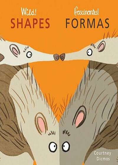 Shapes/Formas/Courtney Dicmas