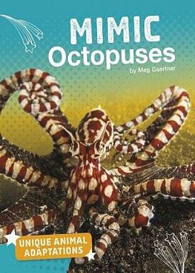 Mimic Octopuses/Meg Gaertner